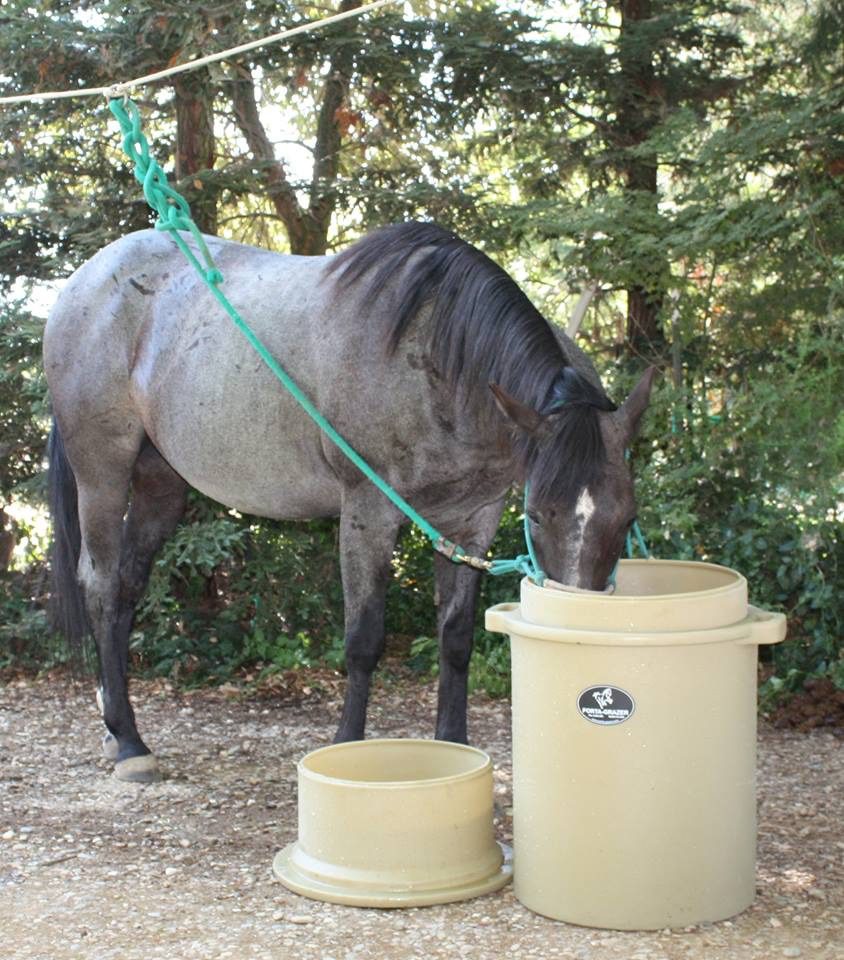 Hay Bags, Nets & Feed Buckets