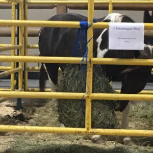 why not to use a hay nets or bags