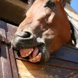 Bad stall habits
