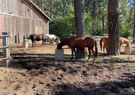 Herd Feeding